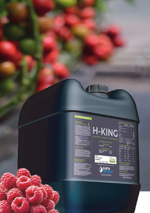 H-KING garrafa 20L
