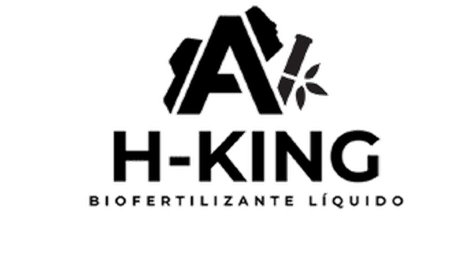 H-KING